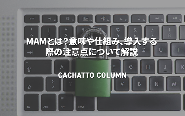 MAMとは？意味や仕組み、導入する際の注意点について解説 | CACHATTO COLUMN